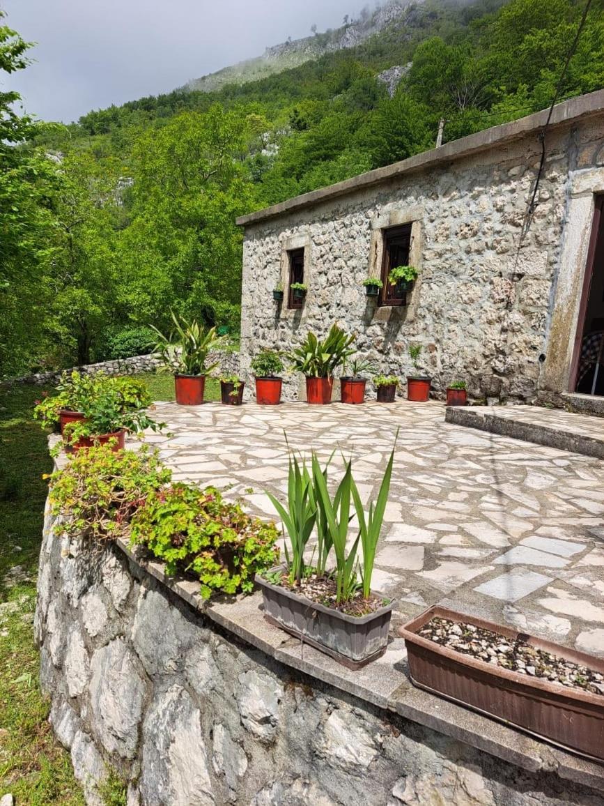 Nature Escape Montenegro Kotor Zewnętrze zdjęcie