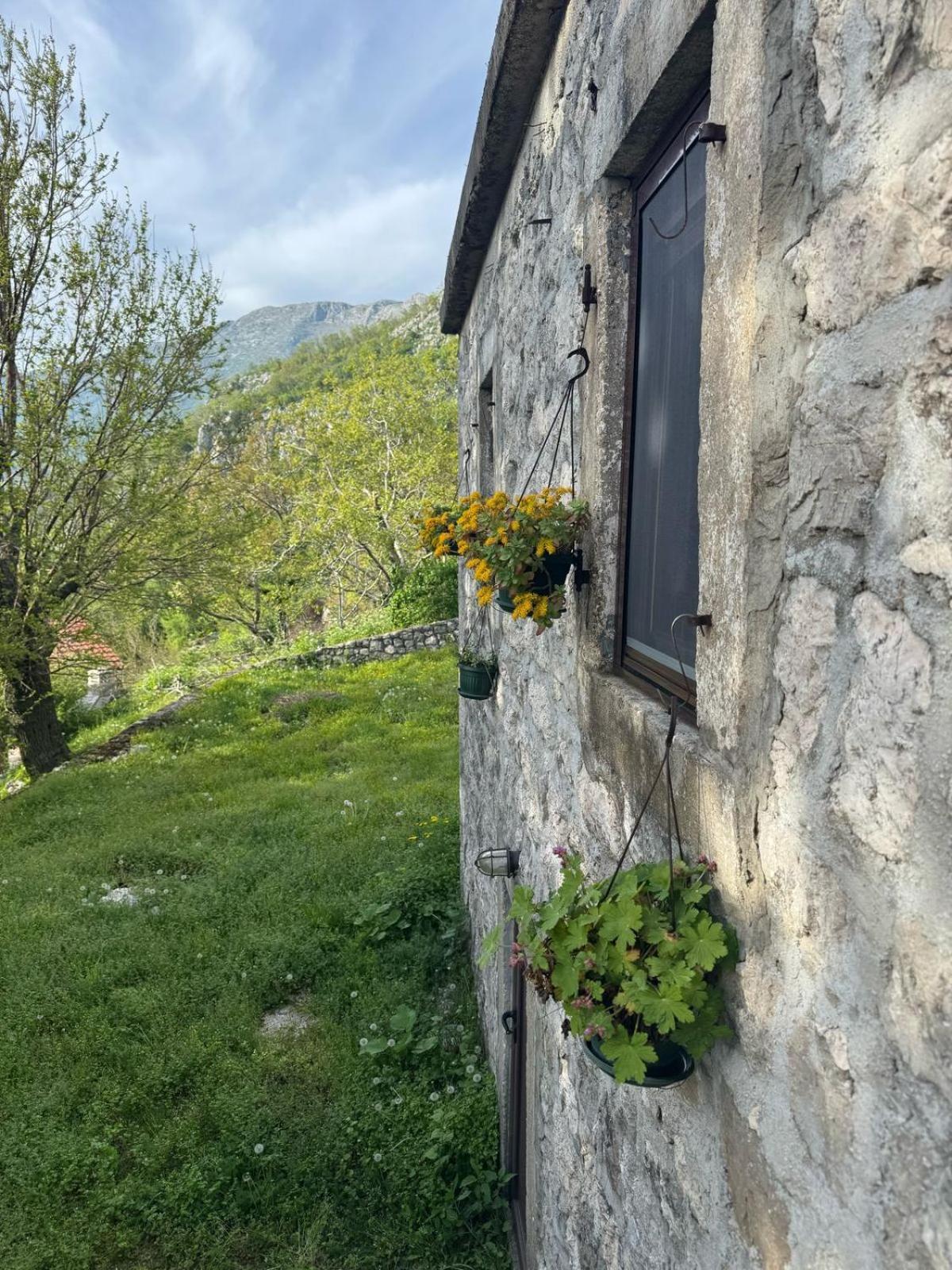 Nature Escape Montenegro Kotor Zewnętrze zdjęcie